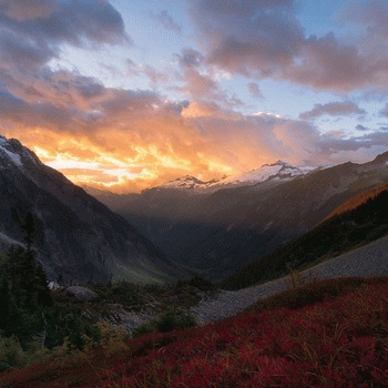 Nostalgique : Exploration I Nostalgique : Exploration I